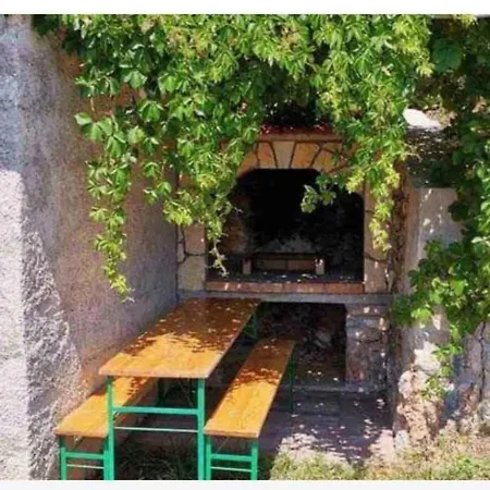 In 50835 Povile